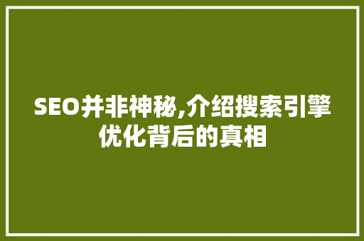 SEO并非神秘,介绍搜索引擎优化背后的真相 网站优化