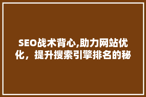 SEO战术背心,助力网站优化，提升搜索引擎排名的秘密武器
