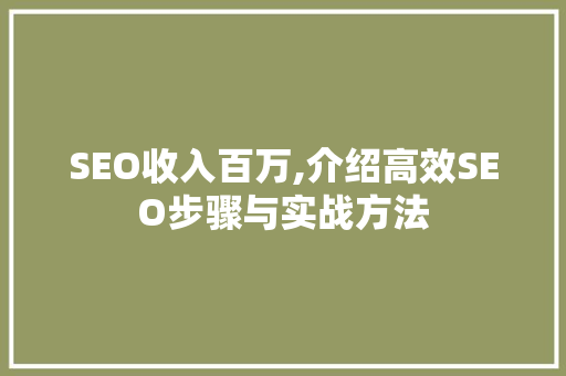 SEO收入百万,介绍高效SEO步骤与实战方法