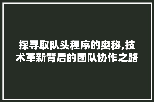 探寻取队头程序的奥秘,技术革新背后的团队协作之路