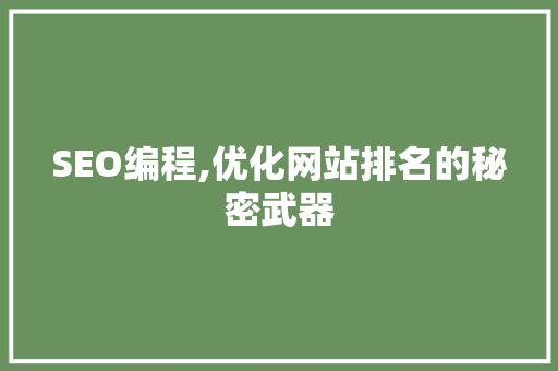 SEO编程,优化网站排名的秘密武器