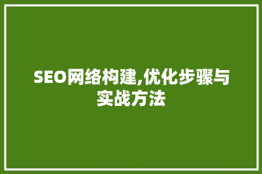 SEO网络构建,优化步骤与实战方法