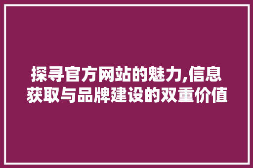 探寻官方网站的魅力,信息获取与品牌建设的双重价值