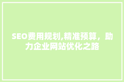 SEO费用规划,精准预算，助力企业网站优化之路 360搜优化
