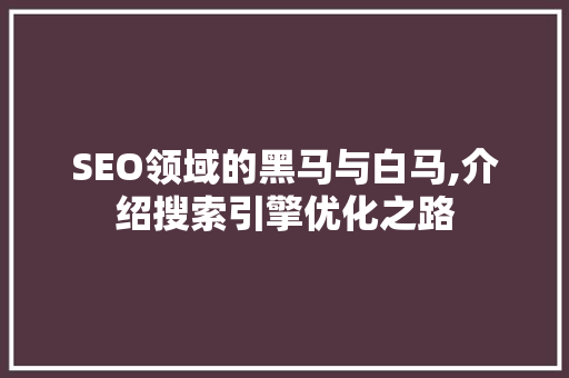 SEO领域的黑马与白马,介绍搜索引擎优化之路 seo技术
