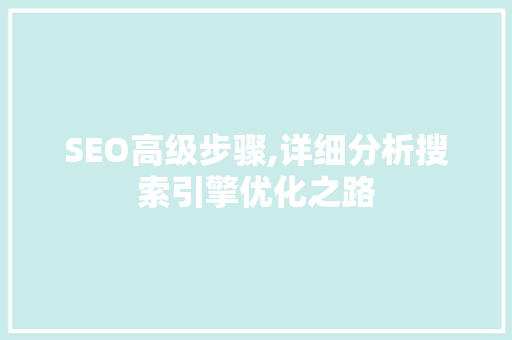 SEO高级步骤,详细分析搜索引擎优化之路