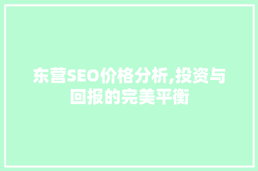 东营SEO价格分析,投资与回报的完美平衡