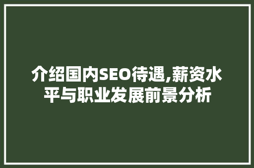 介绍国内SEO待遇,薪资水平与职业发展前景分析
