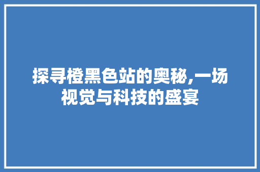 探寻橙黑色站的奥秘,一场视觉与科技的盛宴
