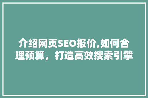 介绍网页SEO报价,如何合理预算，打造高效搜索引擎优化步骤 网站开发