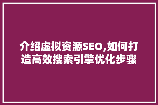 介绍虚拟资源SEO,如何打造高效搜索引擎优化步骤