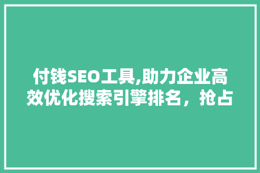 付钱SEO工具,助力企业高效优化搜索引擎排名，抢占市场先机 英文谷歌算法
