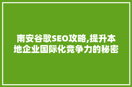 南安谷歌SEO攻略,提升本地企业国际化竞争力的秘密武器 网站开发