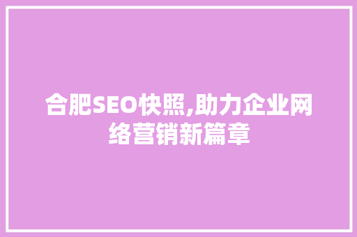 合肥SEO快照,助力企业网络营销新篇章 搜狗优化