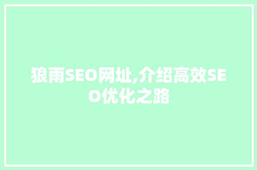狼雨SEO网址,介绍高效SEO优化之路