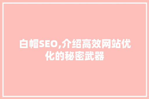 白帽SEO,介绍高效网站优化的秘密武器
