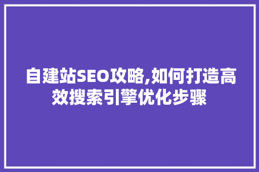 自建站SEO攻略,如何打造高效搜索引擎优化步骤