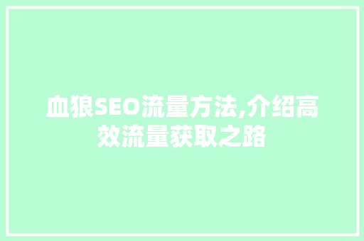 血狼SEO流量方法,介绍高效流量获取之路