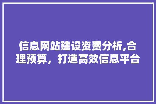 信息网站建设资费分析,合理预算，打造高效信息平台
