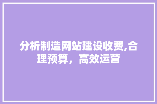 分析制造网站建设收费,合理预算，高效运营