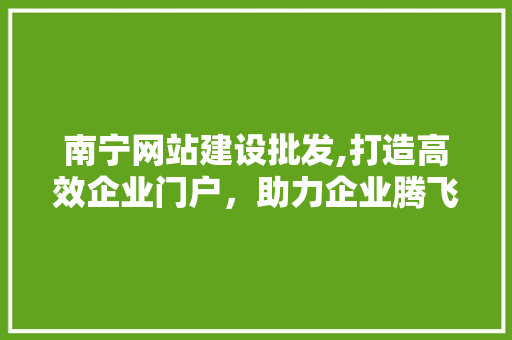 南宁网站建设批发,打造高效企业门户，助力企业腾飞
