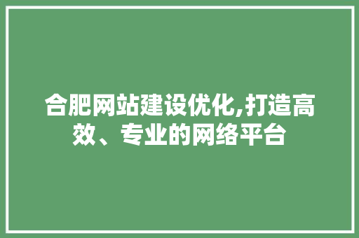 合肥网站建设优化,打造高效、专业的网络平台