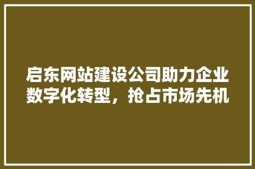 启东网站建设公司助力企业数字化转型，抢占市场先机