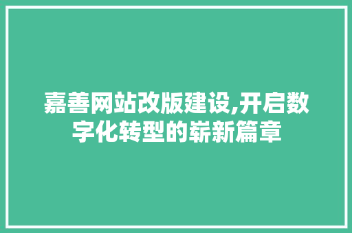 嘉善网站改版建设,开启数字化转型的崭新篇章 小程序开发