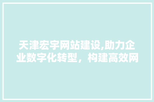 天津宏宇网站建设,助力企业数字化转型，构建高效网络平台