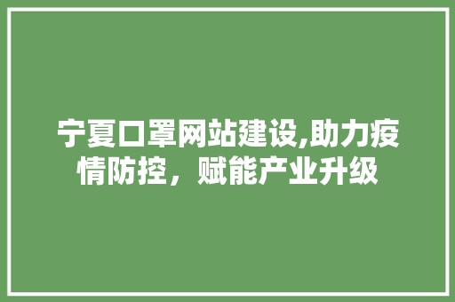 宁夏口罩网站建设,助力疫情防控，赋能产业升级