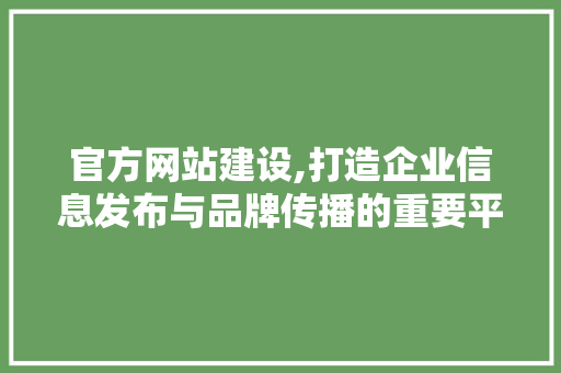 官方网站建设,打造企业信息发布与品牌传播的重要平台