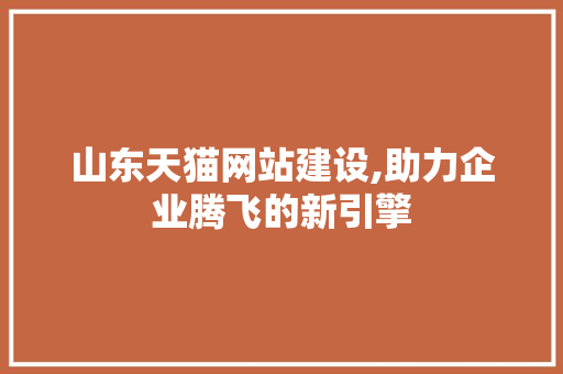 山东天猫网站建设,助力企业腾飞的新引擎