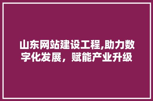 山东网站建设工程,助力数字化发展，赋能产业升级