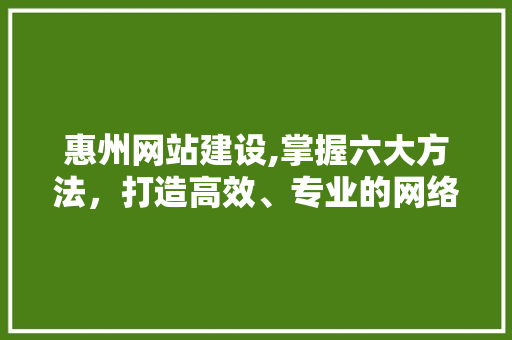 惠州网站建设,掌握六大方法，打造高效、专业的网络平台