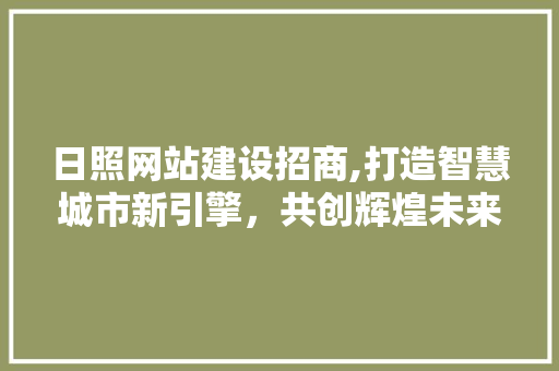 日照网站建设招商,打造智慧城市新引擎，共创辉煌未来