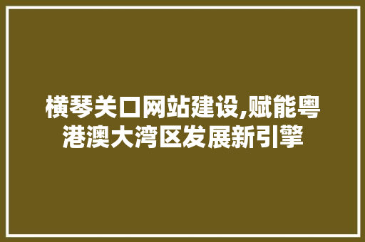 横琴关口网站建设,赋能粤港澳大湾区发展新引擎 网站优化