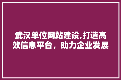 武汉单位网站建设,打造高效信息平台，助力企业发展