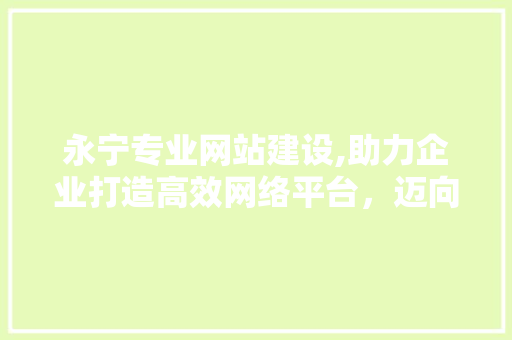 永宁专业网站建设,助力企业打造高效网络平台，迈向数字化未来 seo技术