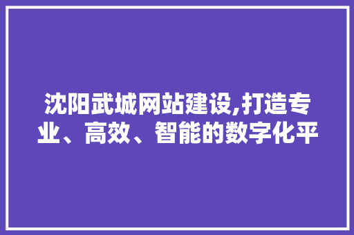 沈阳武城网站建设,打造专业、高效、智能的数字化平台