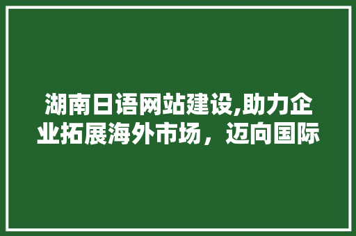 湖南日语网站建设,助力企业拓展海外市场，迈向国际化新篇章