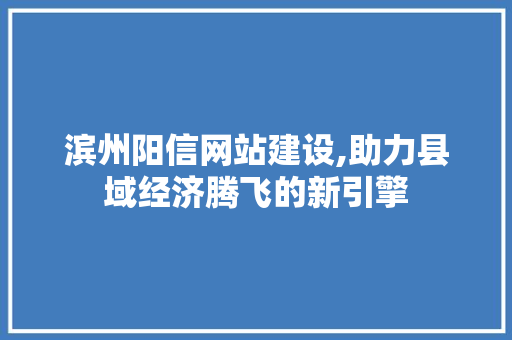 滨州阳信网站建设,助力县域经济腾飞的新引擎 头条优化