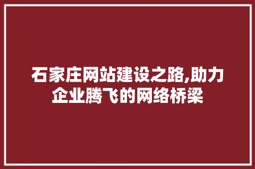 石家庄网站建设之路,助力企业腾飞的网络桥梁
