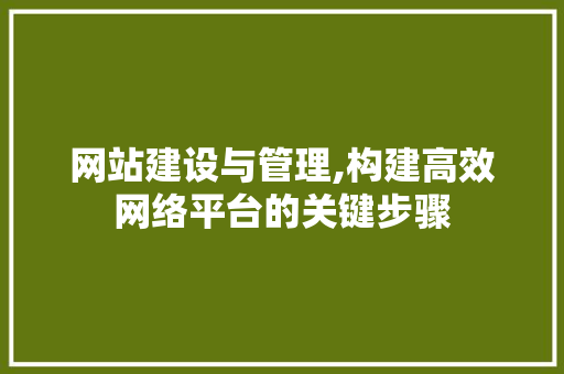 网站建设与管理,构建高效网络平台的关键步骤