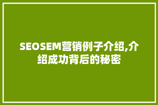 SEOSEM营销例子介绍,介绍成功背后的秘密 搜狗优化