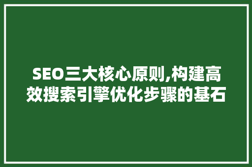 SEO三大核心原则,构建高效搜索引擎优化步骤的基石 搜狗优化