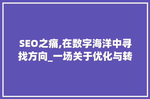 SEO之痛,在数字海洋中寻找方向_一场关于优化与转型的伤感旅程