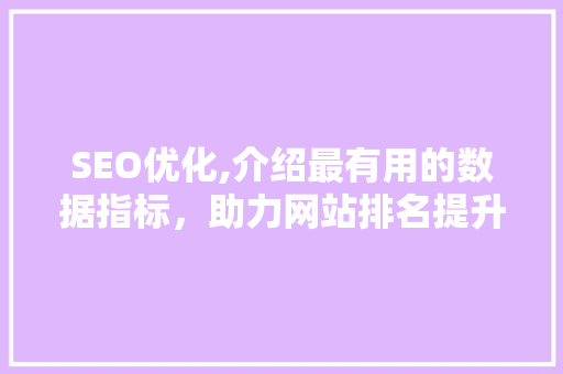 SEO优化,介绍最有用的数据指标，助力网站排名提升 360搜优化