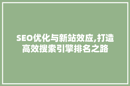 SEO优化与新站效应,打造高效搜索引擎排名之路 百度算法