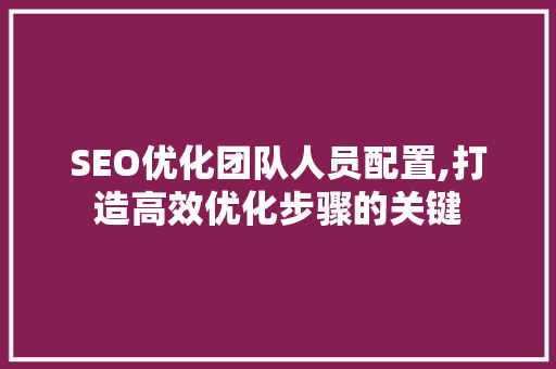 SEO优化团队人员配置,打造高效优化步骤的关键 小程序开发