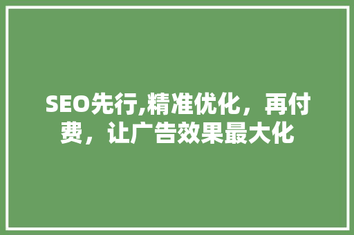 SEO先行,精准优化，再付费，让广告效果最大化 头条优化